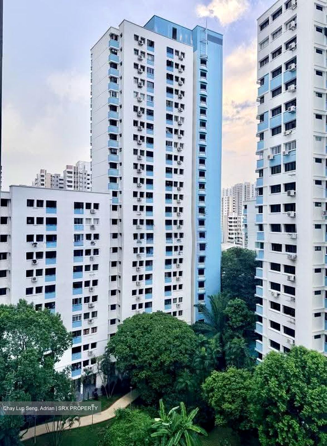 Blk 542 Panshan Grove (Bukit Panjang), HDB Executive #627491221
